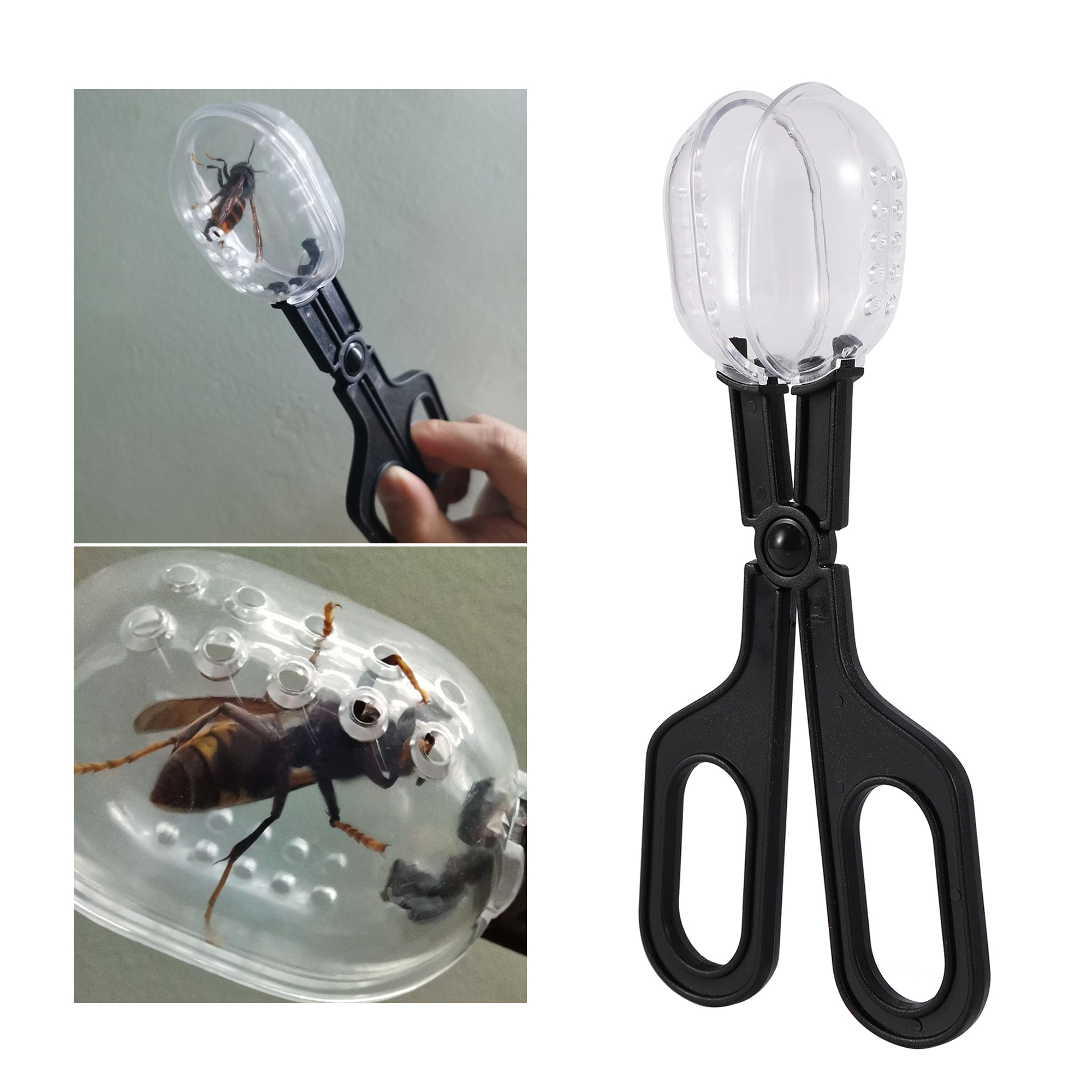 Bee Catching Clip Bee Queen Tr - Home Security Fence ulasan dan harga