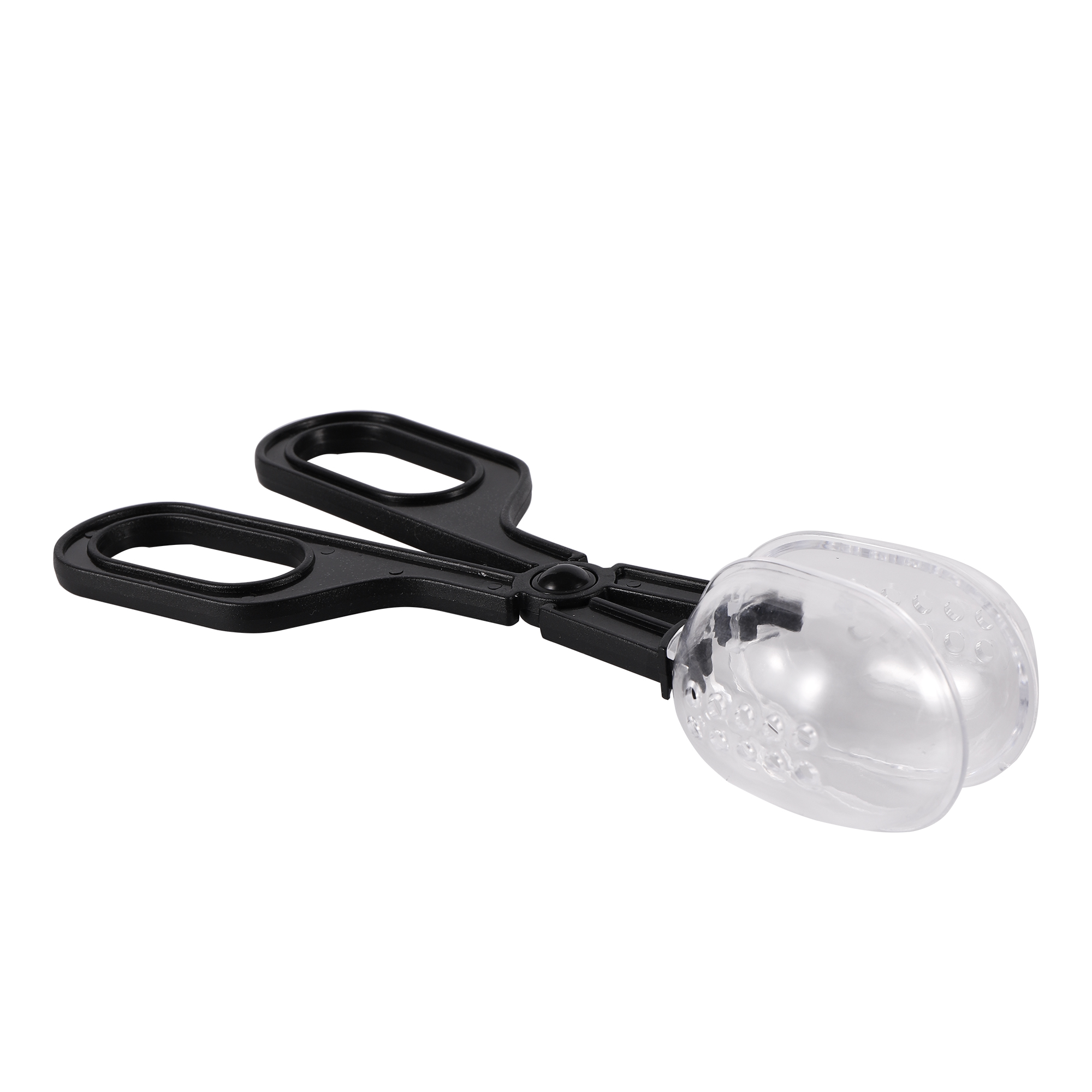 Bee Catching Clip Bee Queen Tr - Home Security Fence ulasan dan harga