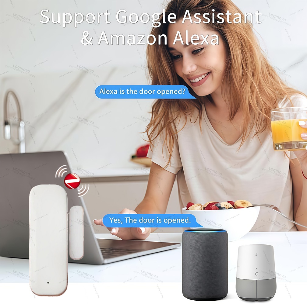 Tuya Zigbee Door Sensor Window - Window Alarm Sensor ulasan dan harga