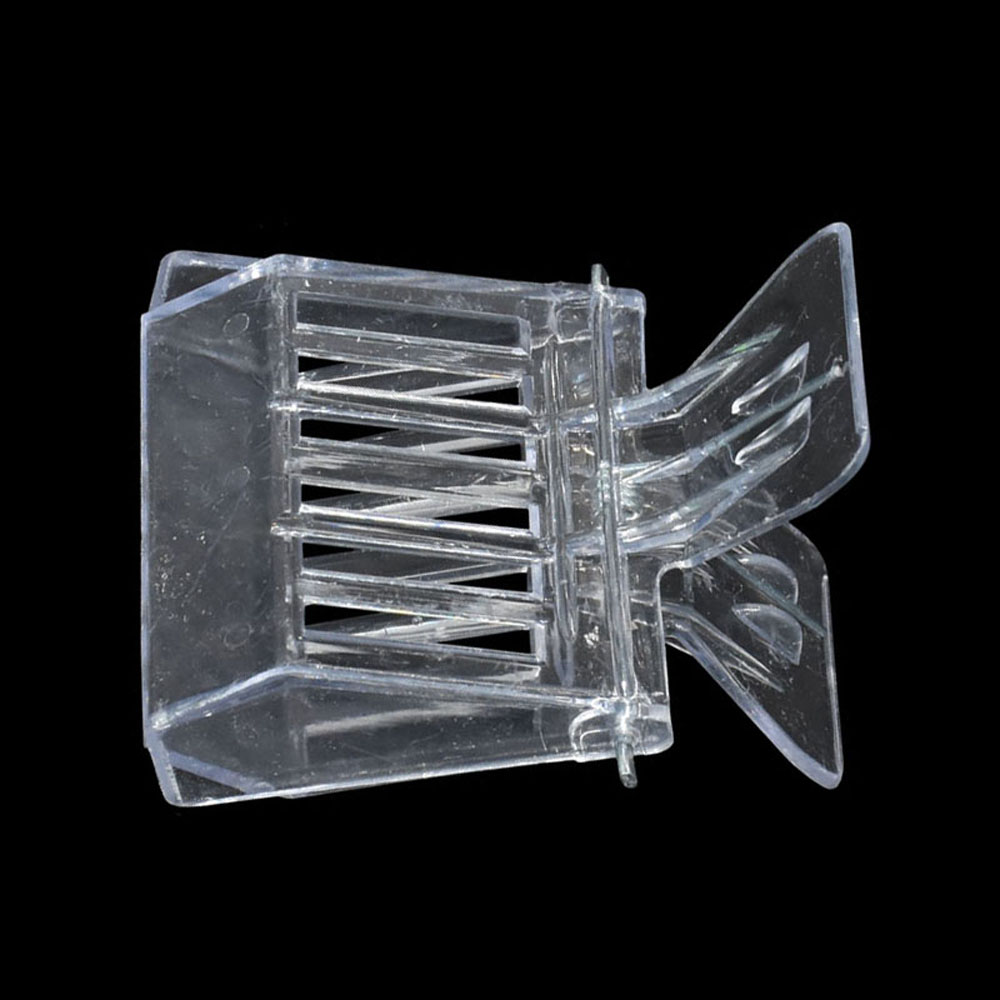 50 Pcs Bee Queen Catcher Color - Home Security Fence ulasan dan harga