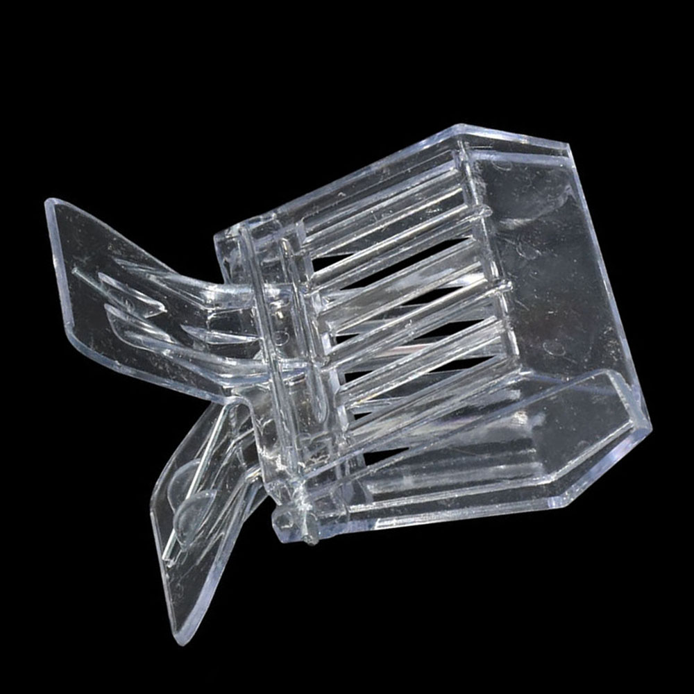 50 Pcs Bee Queen Catcher Color - Home Security Fence ulasan dan harga