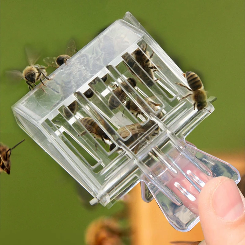 Beekeeper Bee Cage Beehive Hon - Home Security Fence ulasan dan harga
