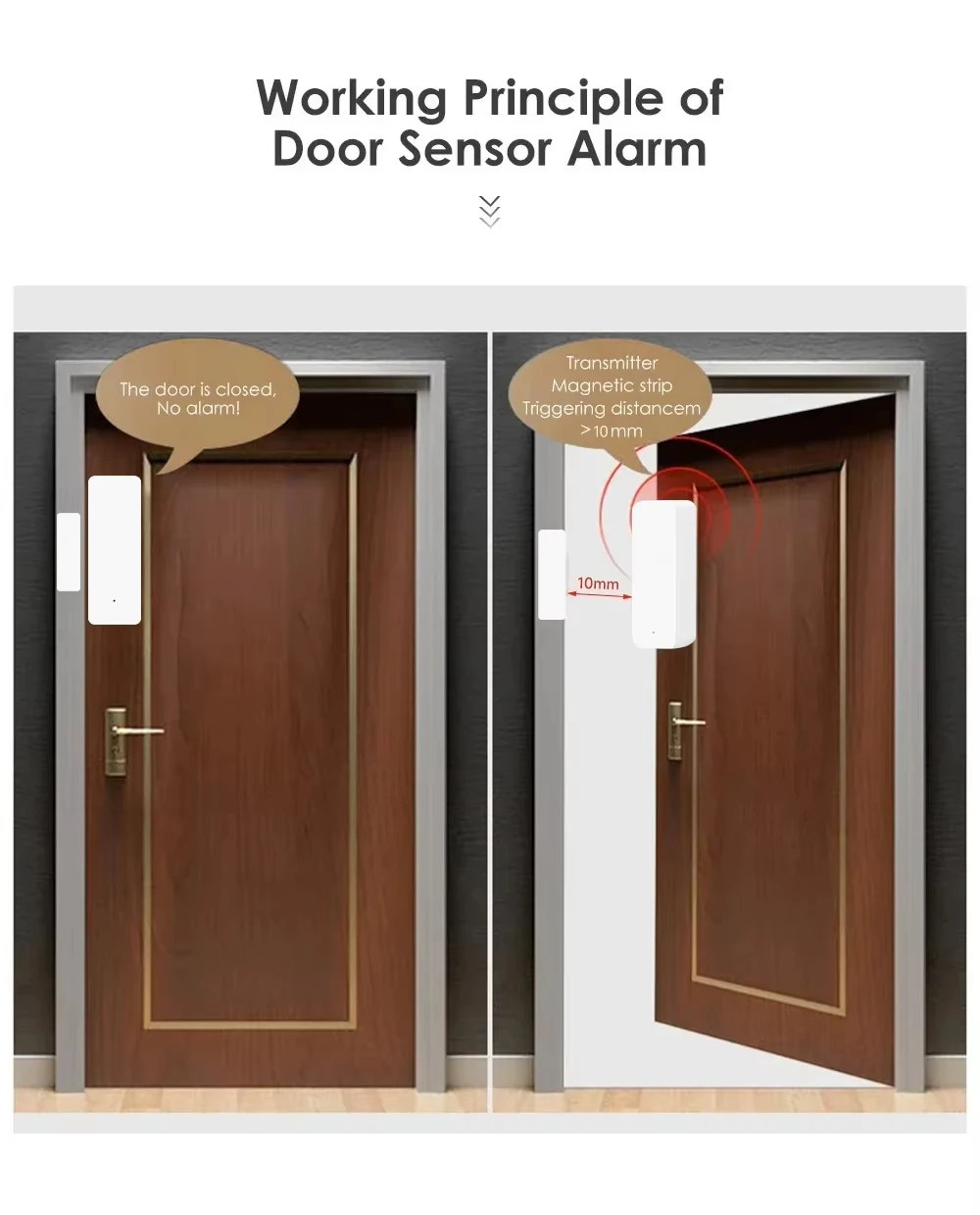 Tuya Zigbee/WiFi Magnetic Door - Window Alarm Sensor ulasan dan harga